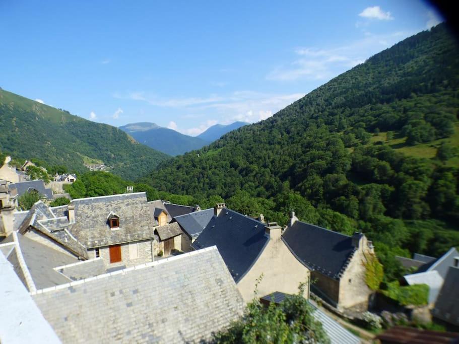 Maison Familiale Pour 8 Saint-Aventin Exterior photo